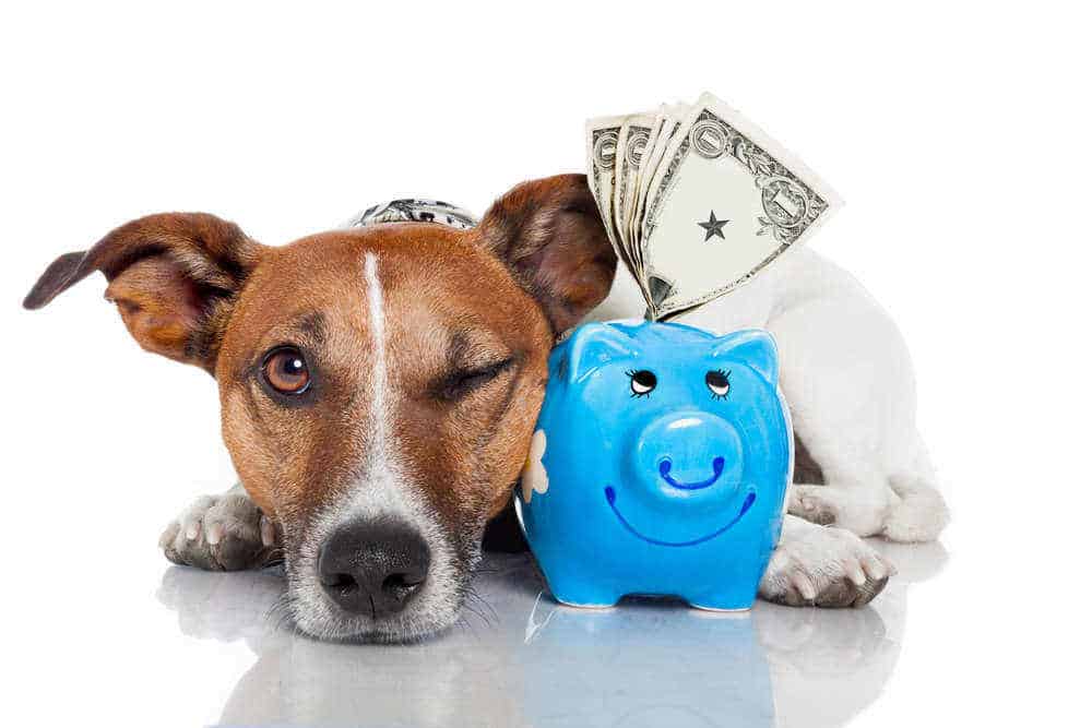 ציור של כלב חום קטן שומר על קופת חיסכון עבור הון עצמי למשכנתא